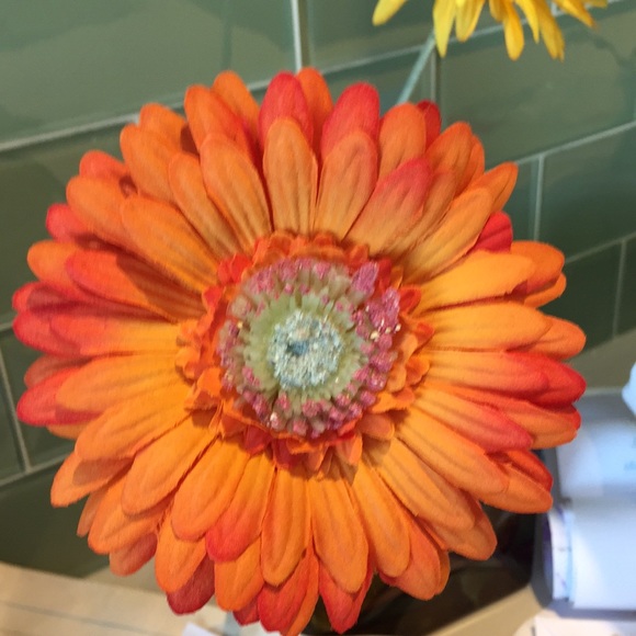 Meet your Posher, Zulaika - Picture 1 of 1